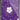 Capa Apple iPhone 7 Plus / 8 Plus (Flores Brancas c/ Fundo Roxo) Apple